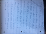 phi 105 MLK Jr and Igor Primoratz Textbook Notes