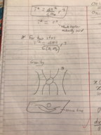 week 7 notes