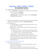 Brain & Behavior Week 7 Class Notes