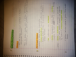 Culture & Society, Week 9 Notes