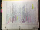 Exam 3 study guide