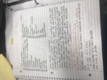 Term notes