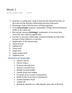 Anatomy, week 1 notes