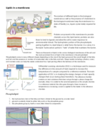 BIO 353 Cell Biology 