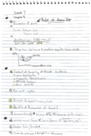 week 7 notes