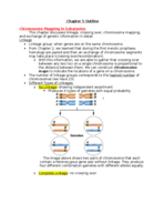 Chapter 5- Introductory Genetics