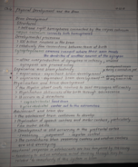  HD 240 Chapter 6 Physical Development and the Brain