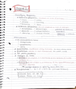 Week 3 Notes