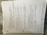 Week 1: Citizen-Protectors notes