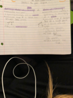 Business Calc Week 9 Notes