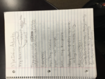 Spanish 102 Notes 