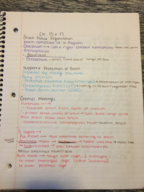 Class notes