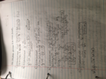 Calculus 1, Week 8