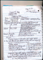 Exam #2 Study Guide