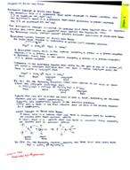 Exam 2 Study Guide 