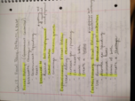 Macroeconomics  1113: Week 11 Notes (chapter 13)