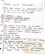 Final exam study guide