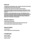 Study Guide Exam 3