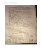 Chapter 17- Gluconeogenesis Notes