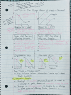 Week 1- Interdependence, the Gains from Trade, and the Market Forces of Supply and Demand