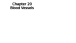 APK2100c Week 12 Notes