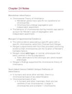 Chapter 24 Notes