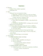 exam 3 study guide