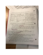 Biology 1081