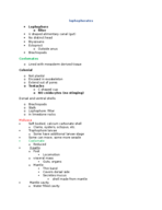 Lophophorates