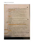 Chapter 19- Citric Acid Cycle Notes