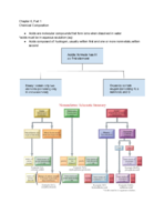 CHEM 117 Chapter 6 Chemical Composition