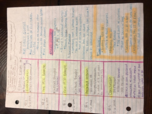 POLS 101, Essay Exam #2
