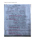Chapter 20- Electron Transport Chain