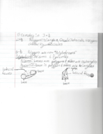Class Notes Week 13