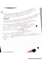 Week 12 PY 358 Notes
