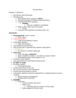 Ecdysozoa