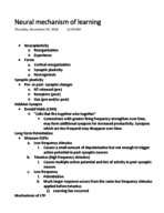 Neural Mechanisms of Learning