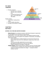 Child Psychology 10/26/18 notes