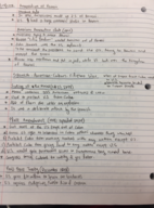 HIST 1378- Notes- Week 8