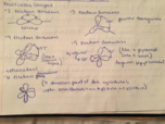 Exam 4 (Final) Study Guide