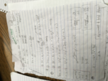 Will Gannet final review sheet 