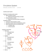 Circulatory System