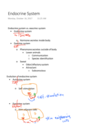 Endocrine system