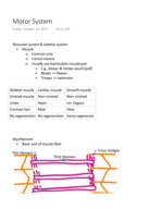 Motor System