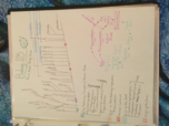 Botany 105 with Mihai Tomescu Final Exam Study Guide