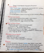 bio 110 - week 13 respiration