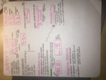 Final Study Guide