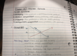 Economics Midterms 2