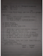 Pol 1201 Lecture notes; Socrates