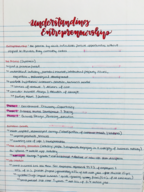 Entrepreneurship Chapter 1 Notes